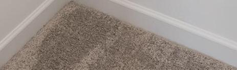 Photo #12