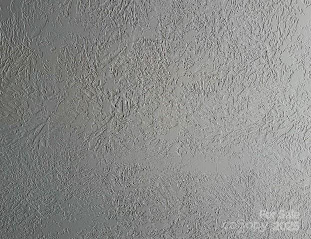 Photo #7