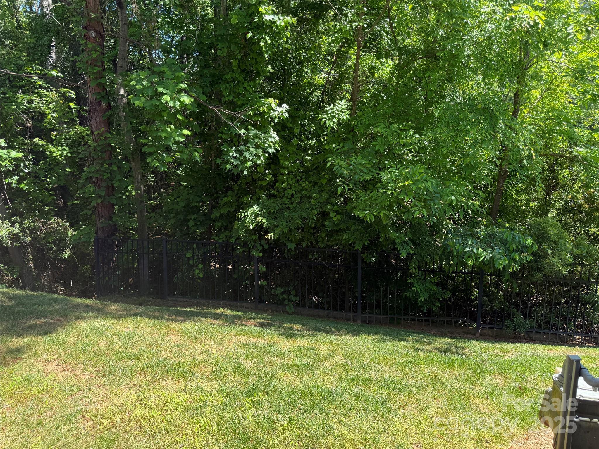 Photo #26