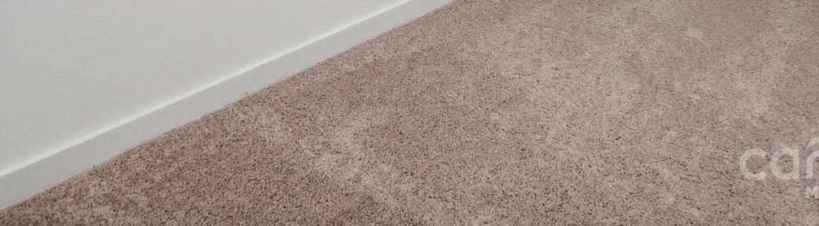 Photo #15