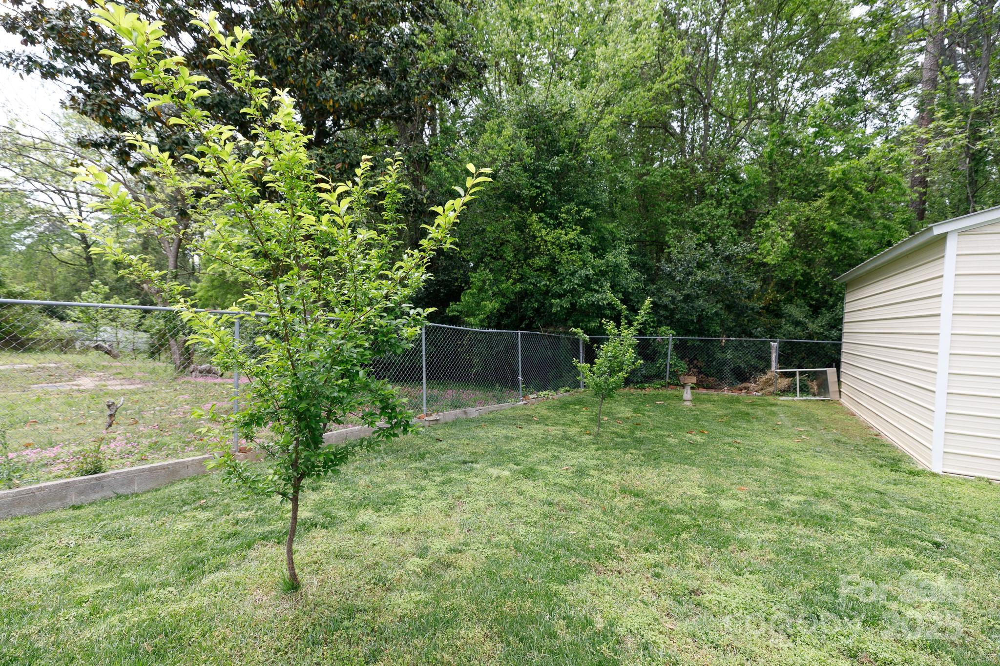 Photo #28