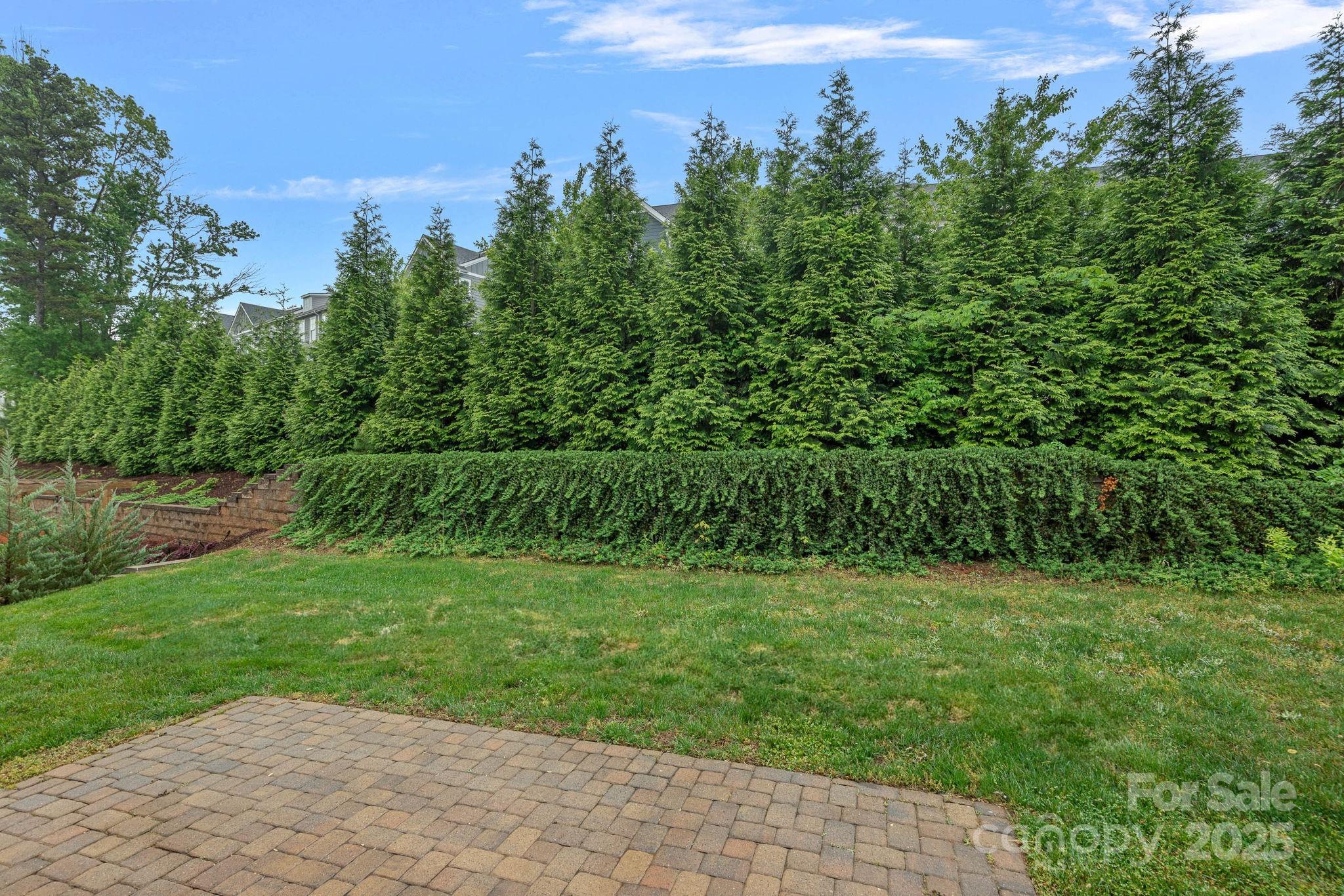 Photo #43