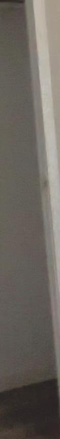 Photo #16