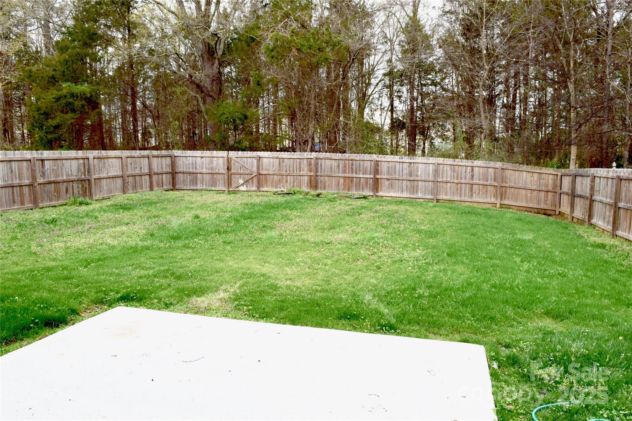 Photo #16