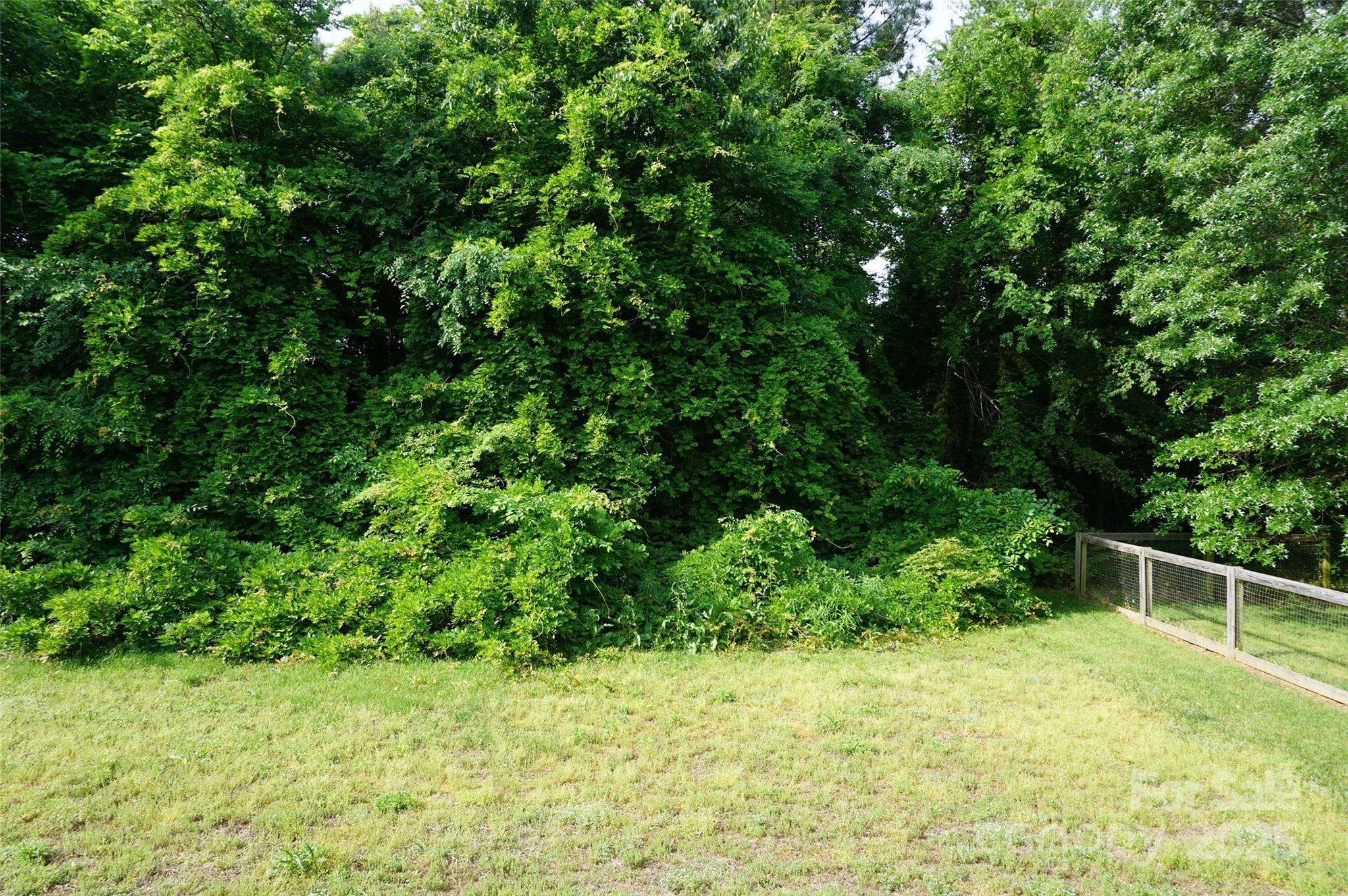 Photo #15