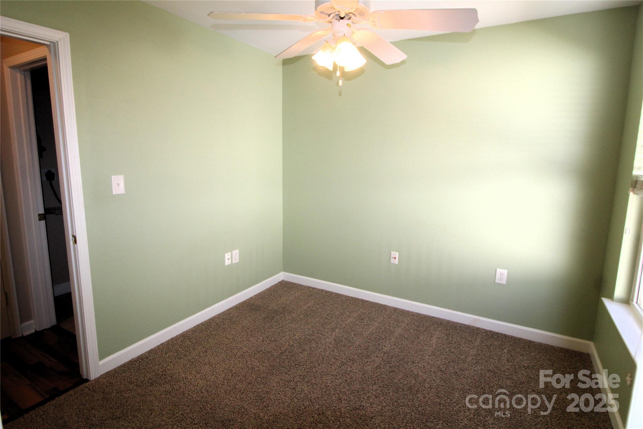 Photo #11