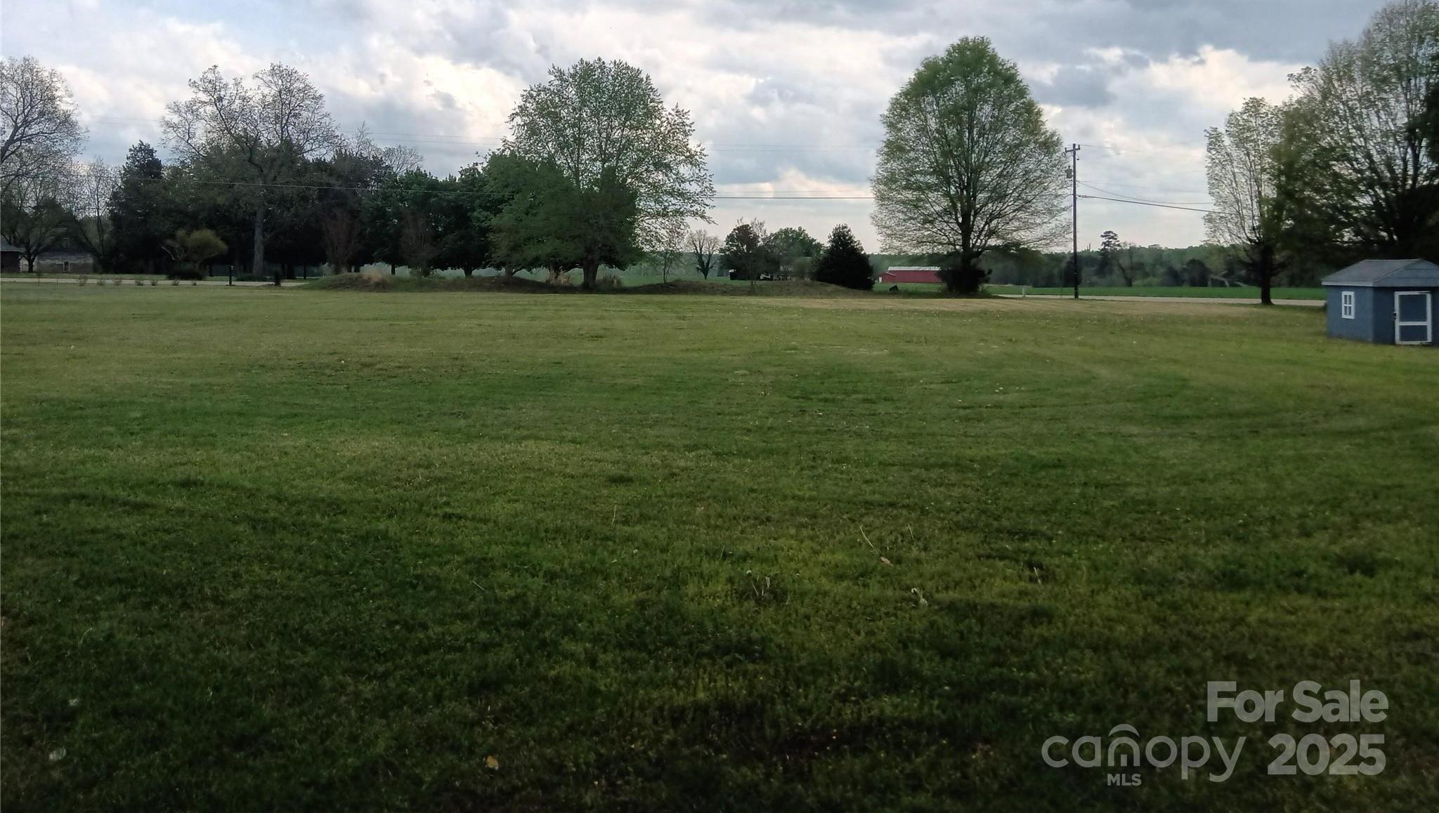 Photo #3