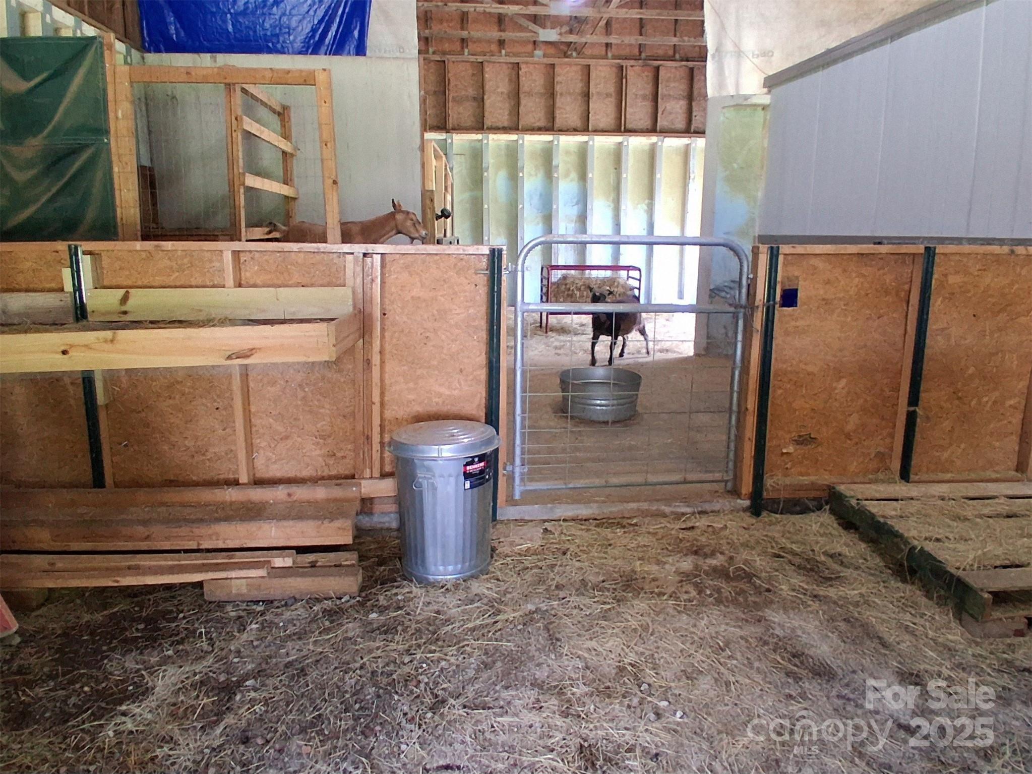 Photo #41