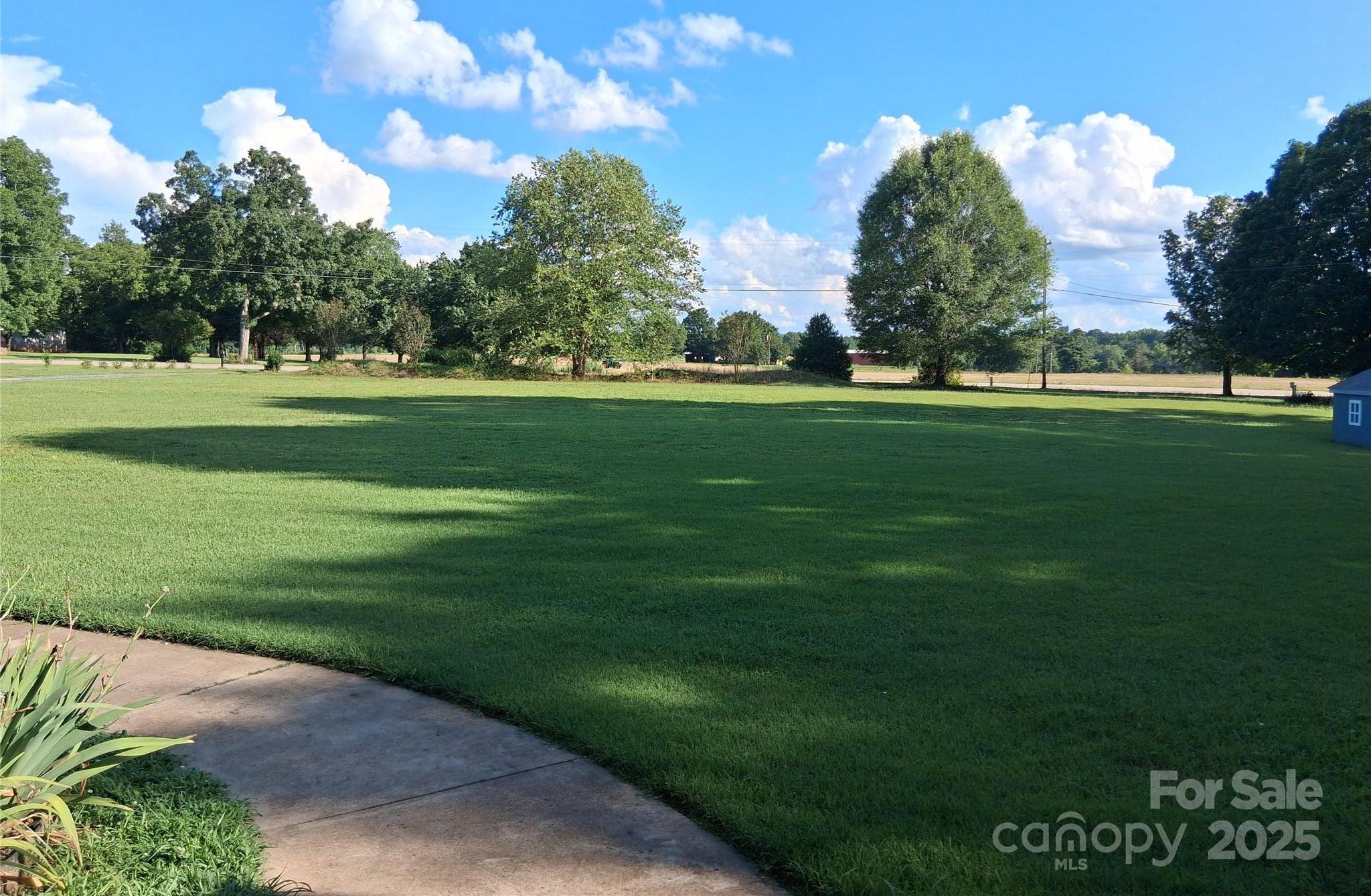 Photo #46