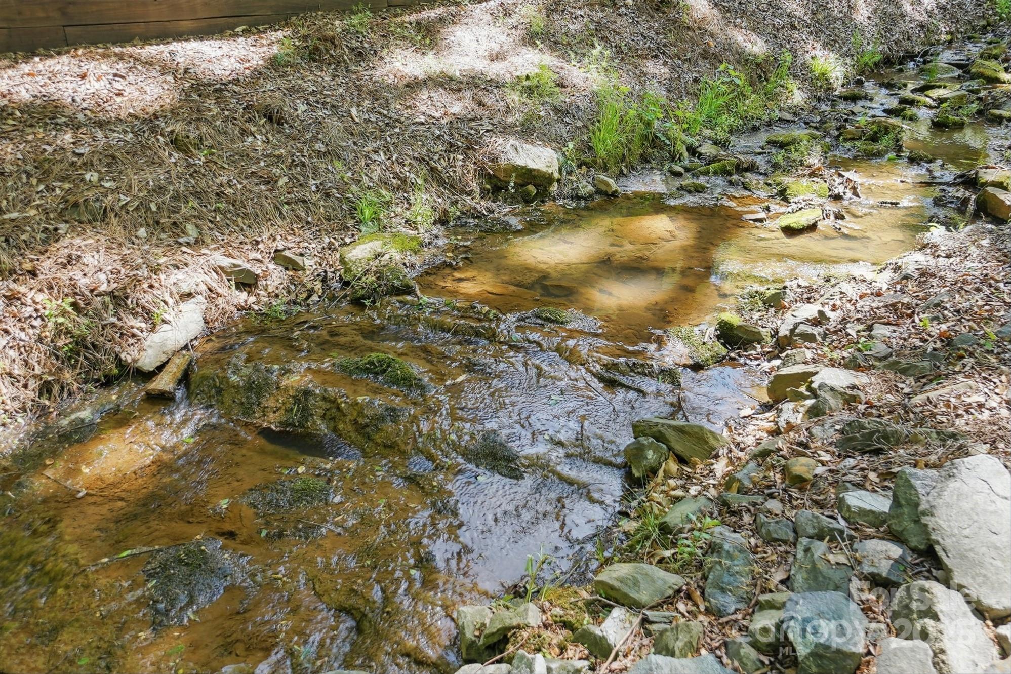 Photo #41
