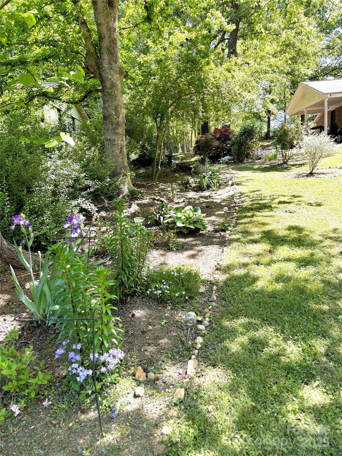 Photo #3