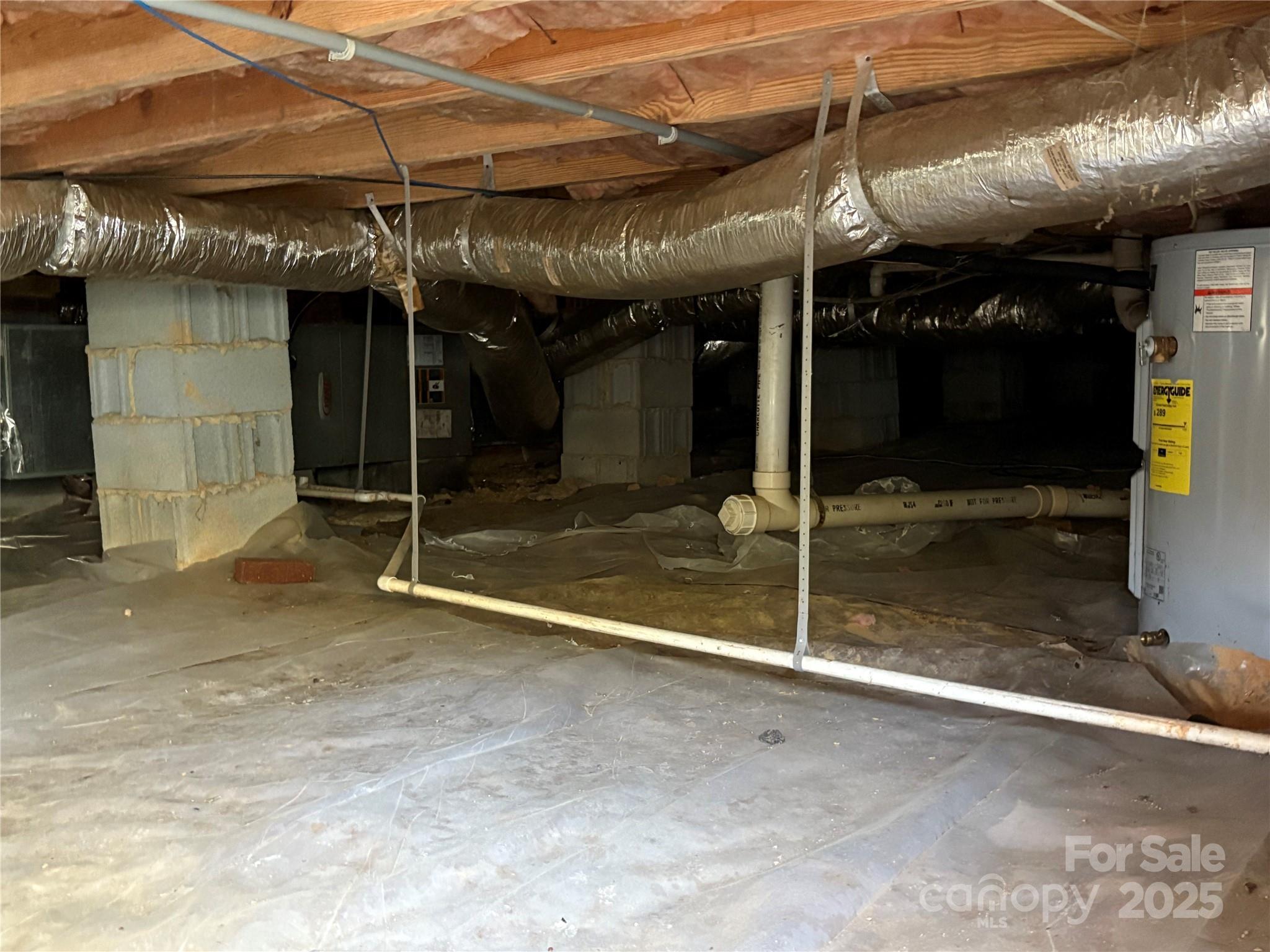 Photo #29