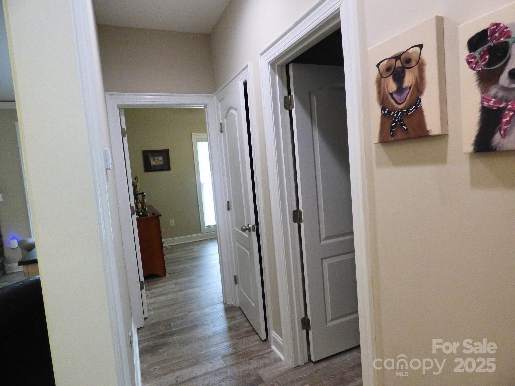 Photo #12