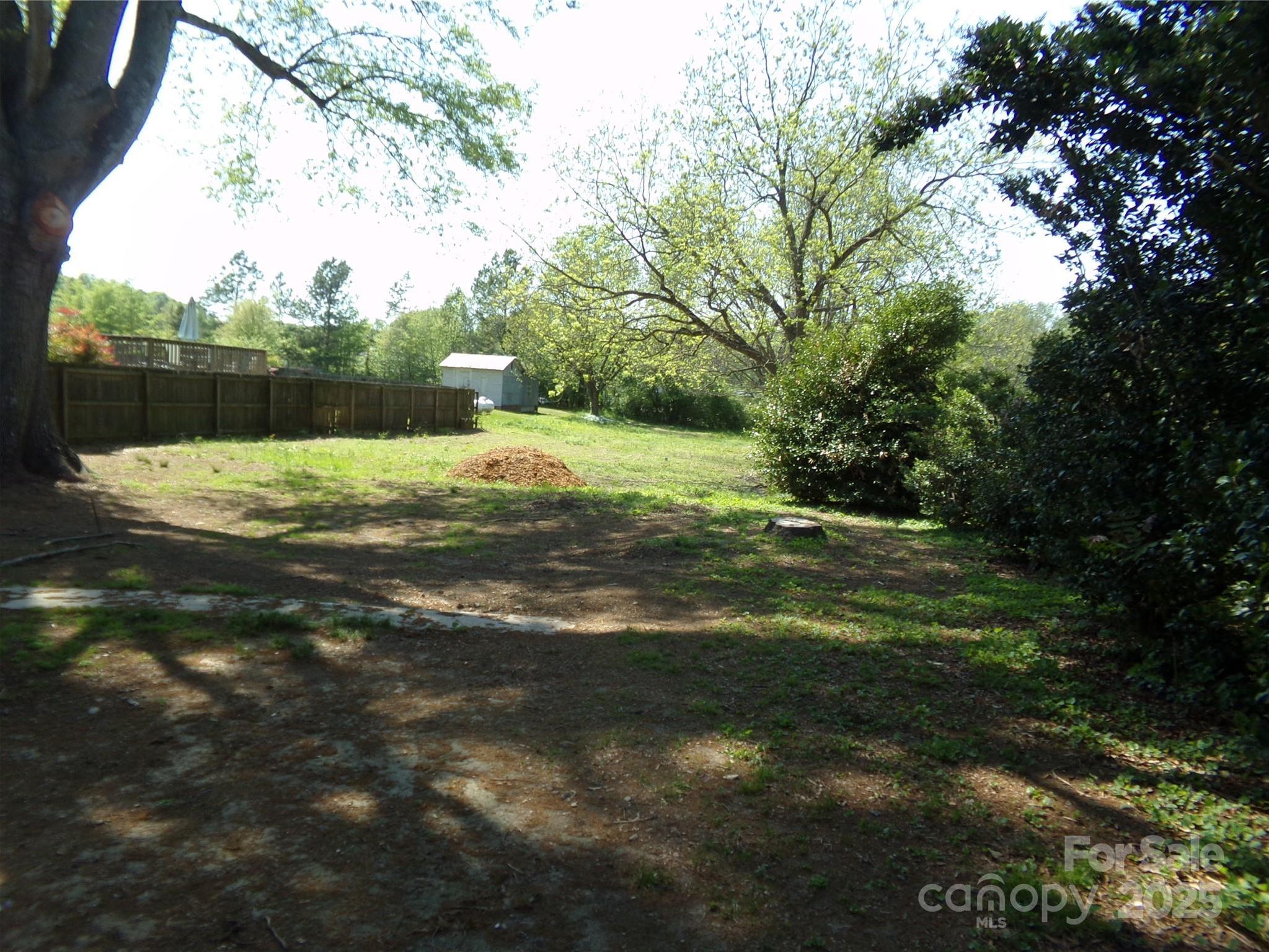 Photo #31