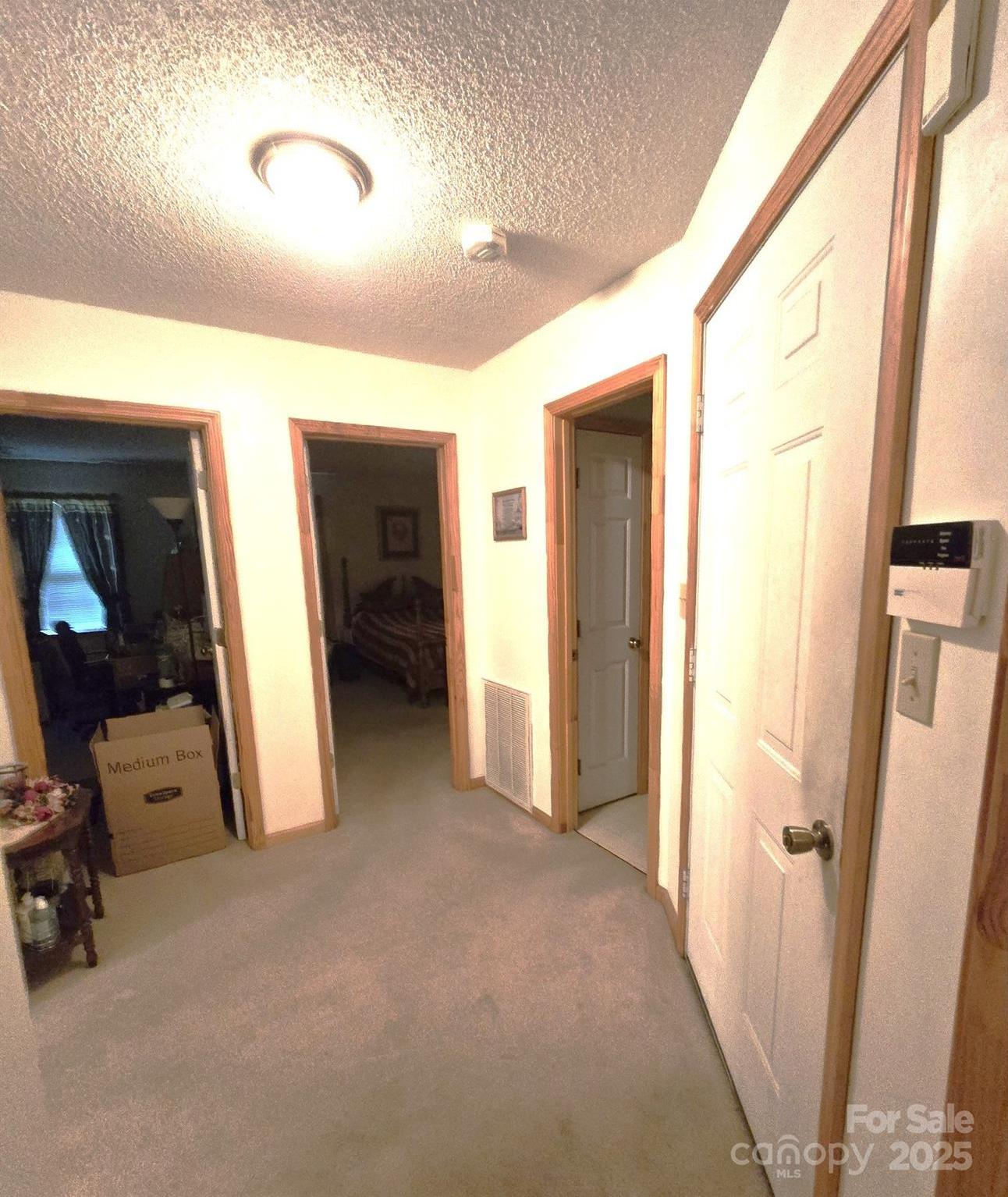 Photo #19