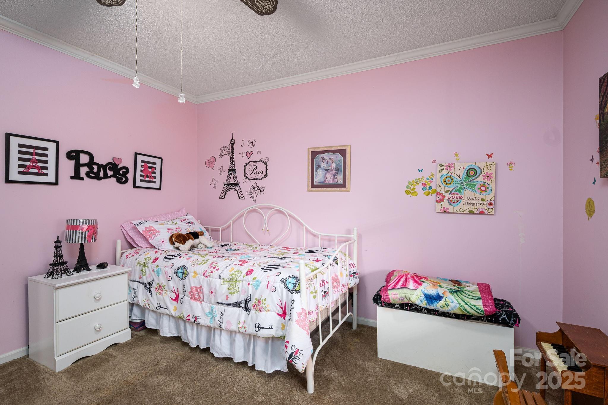 Photo #24