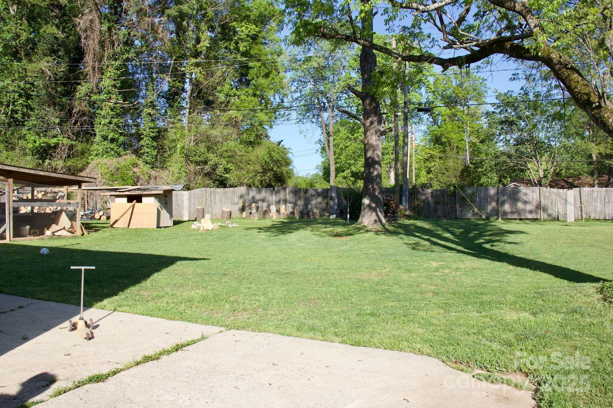 Photo #3
