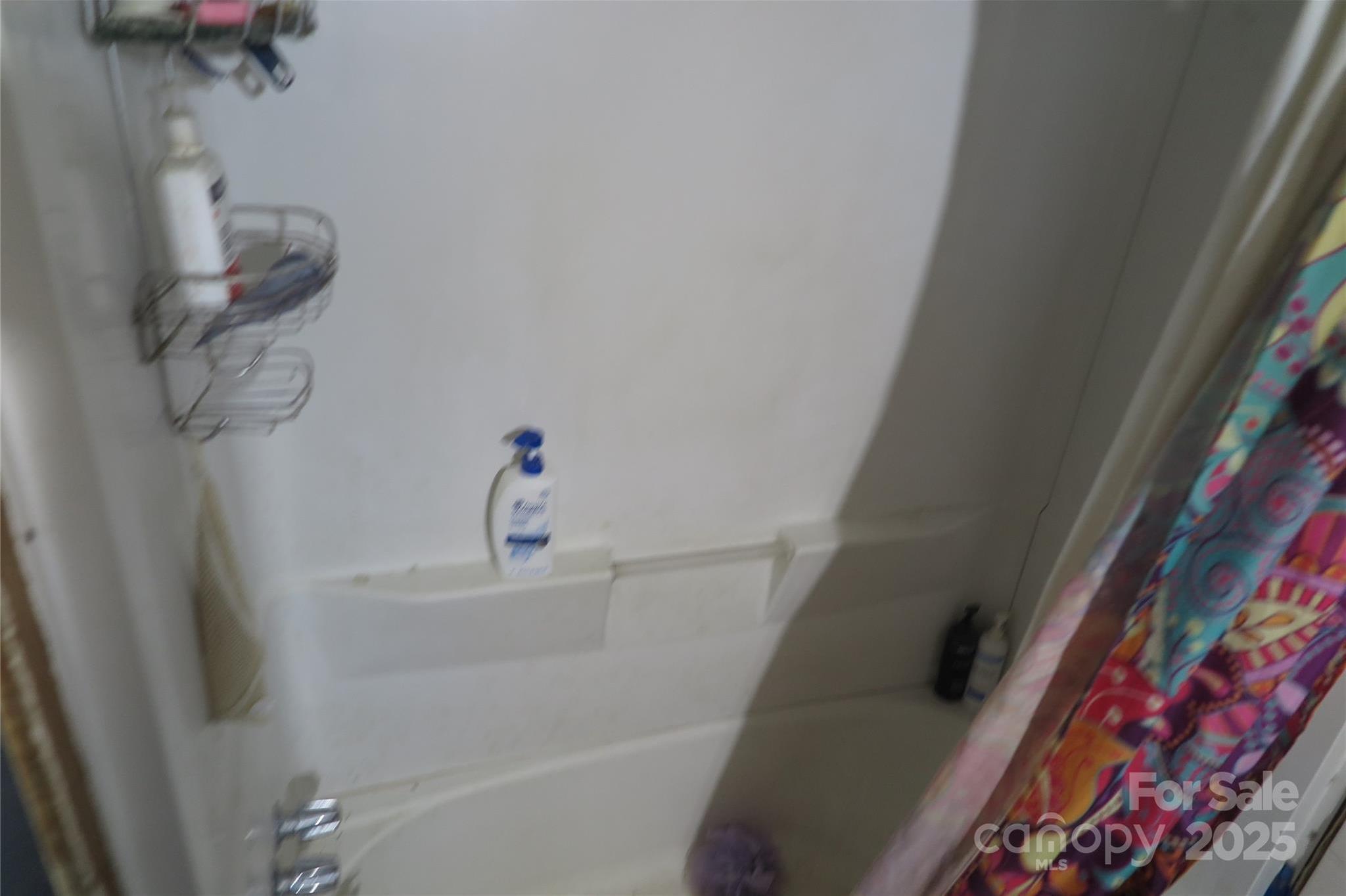 Photo #18