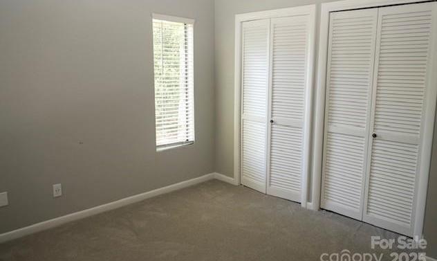 Photo #13