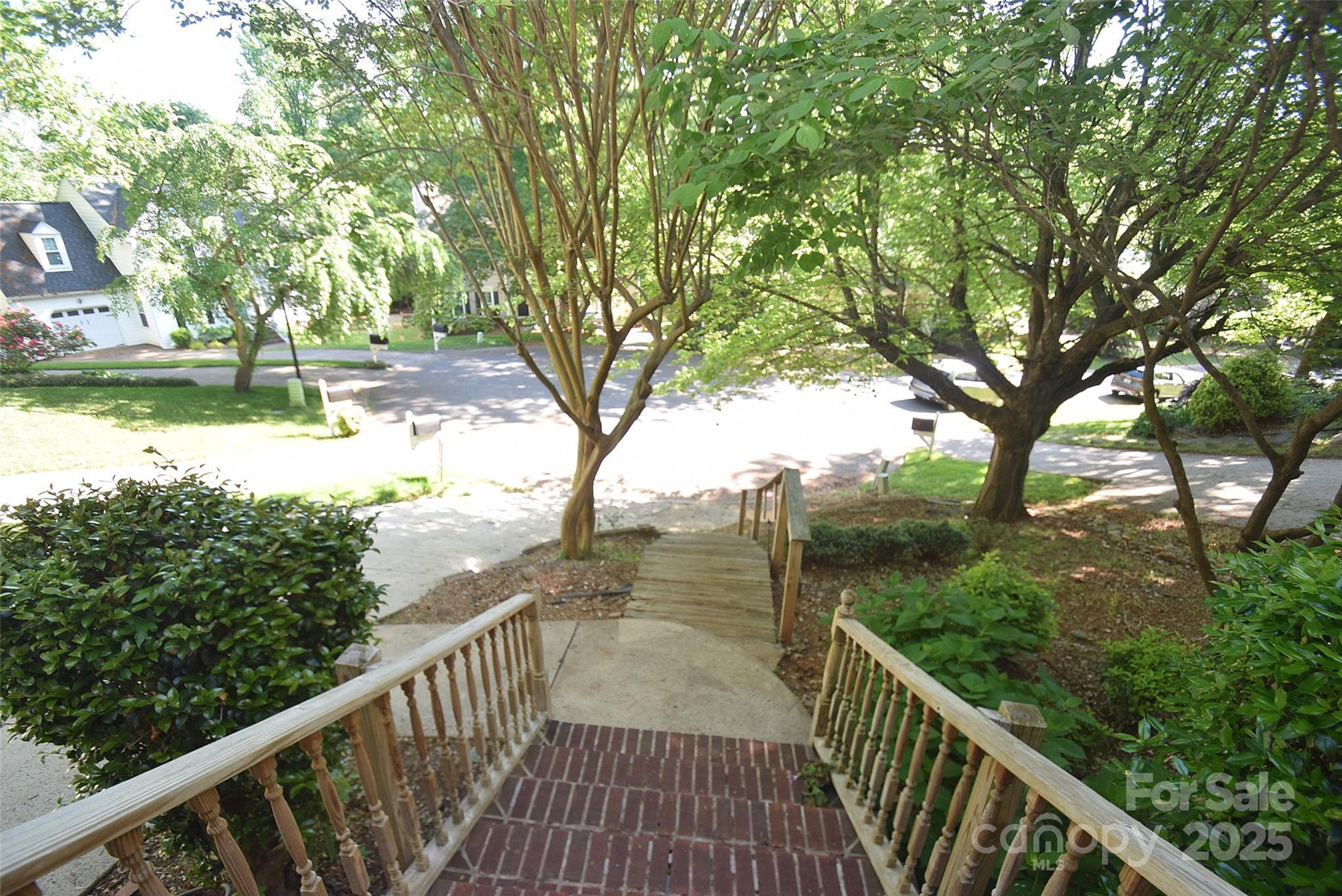 Photo #3