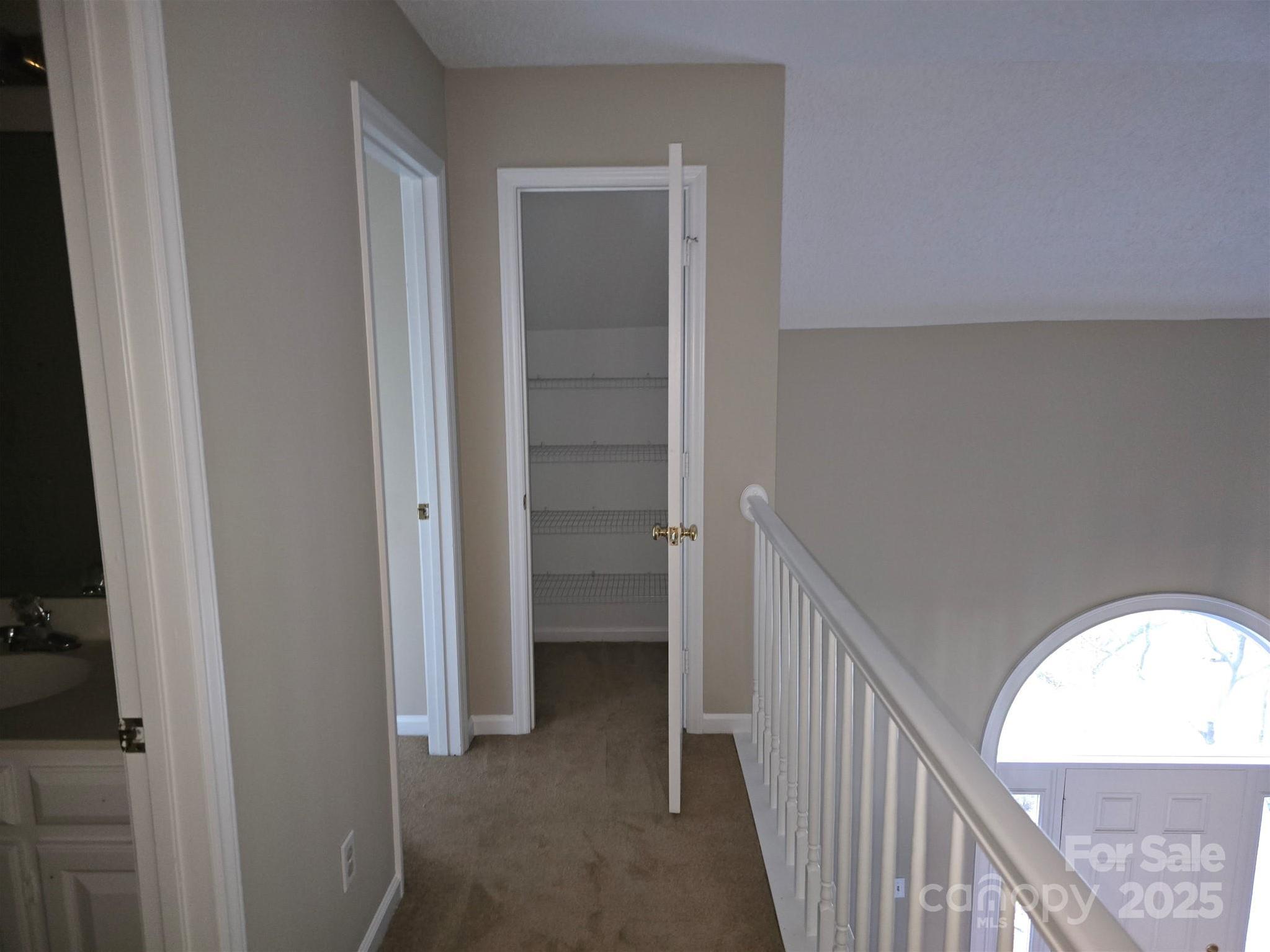 Photo #24