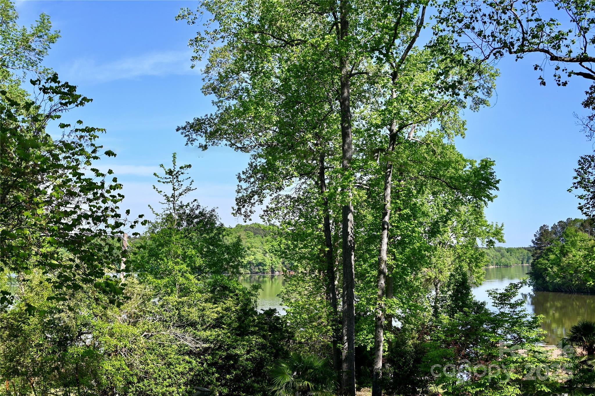 Photo #6