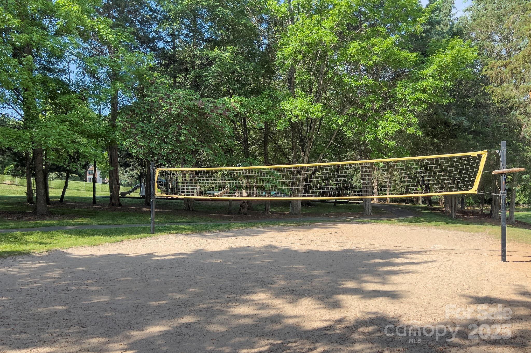 Photo #42