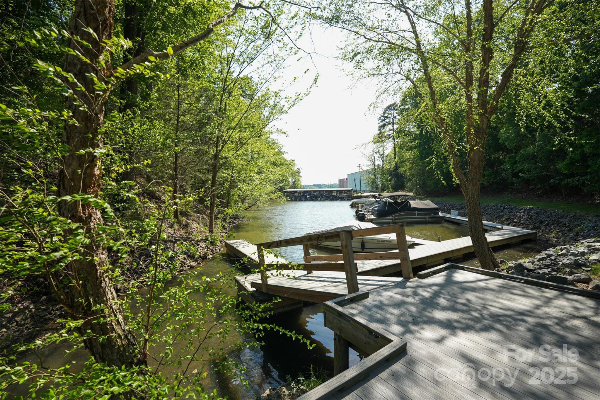 Photo #41