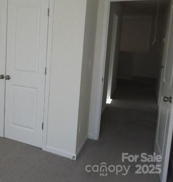 Photo #11