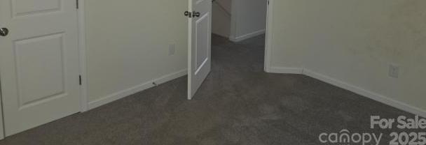 Photo #24