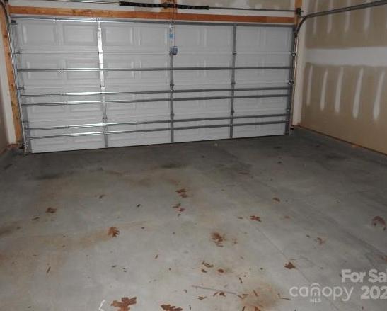 Photo #5