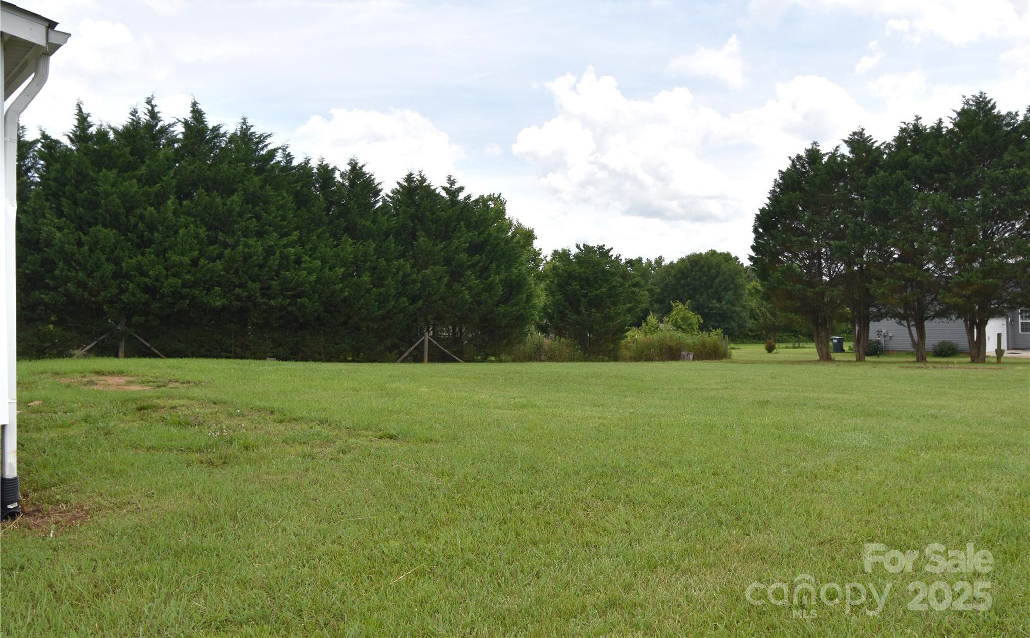 Photo #25