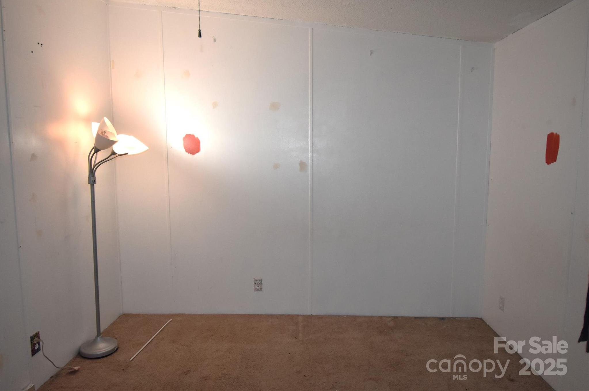 Photo #14