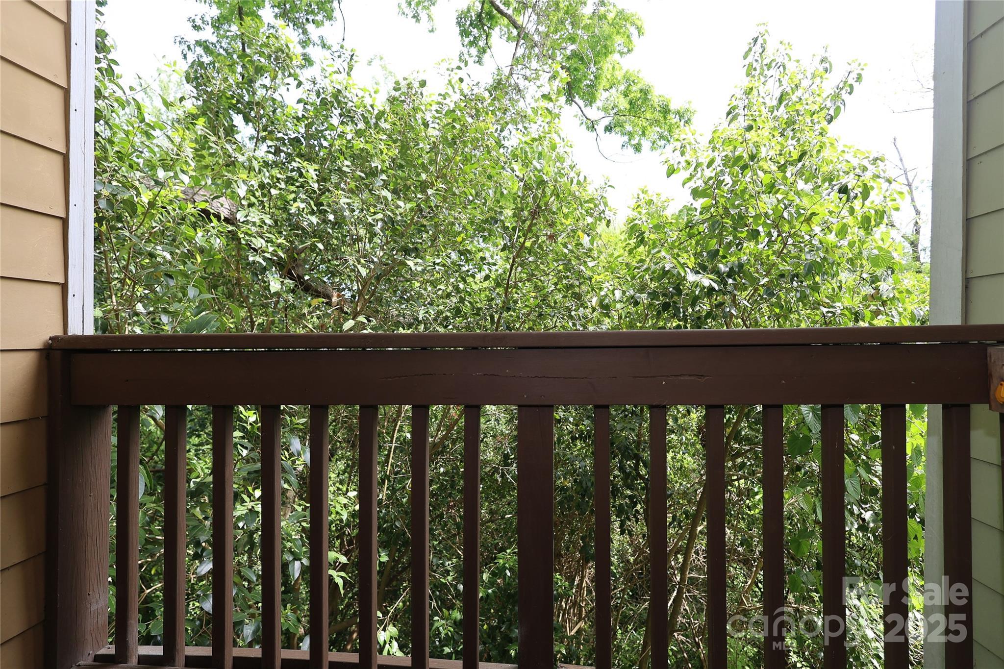 Photo #28