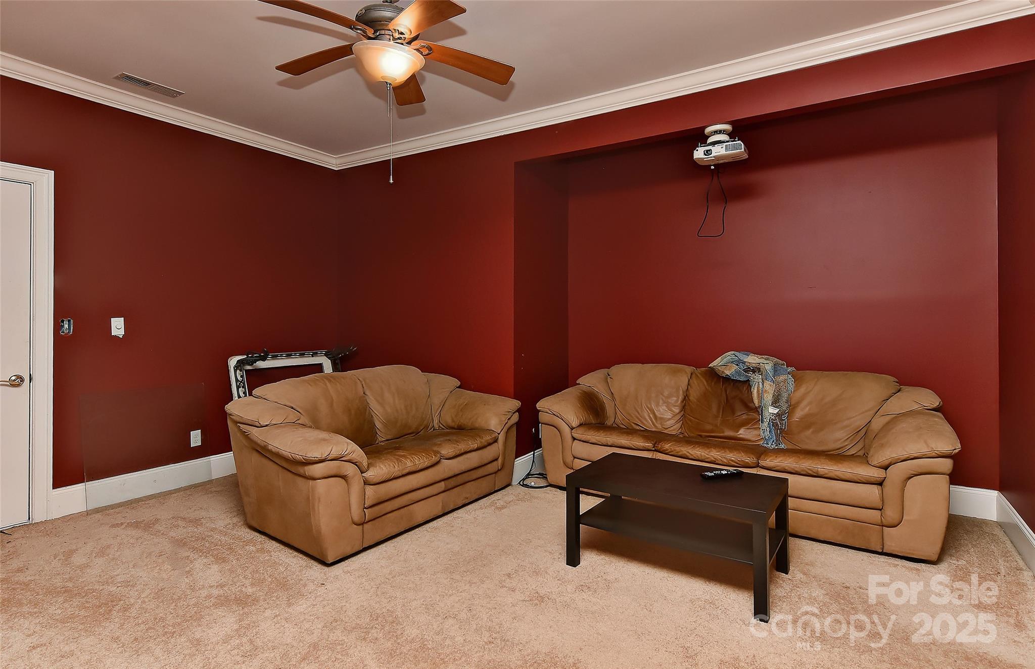 Photo #42
