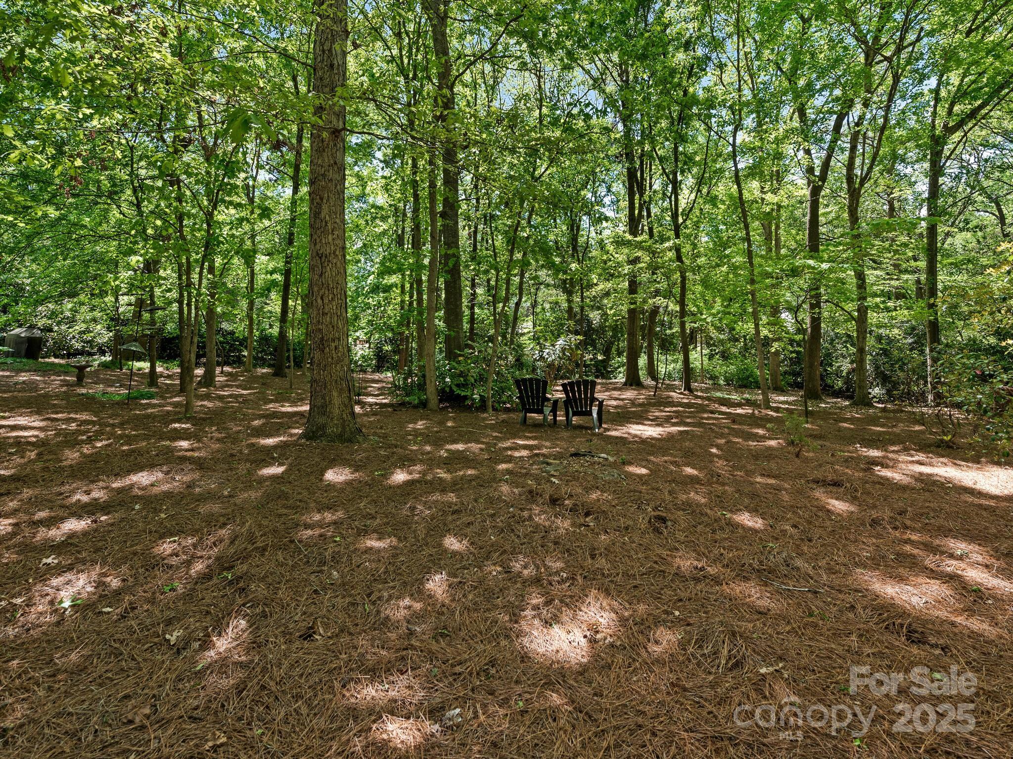 Photo #34