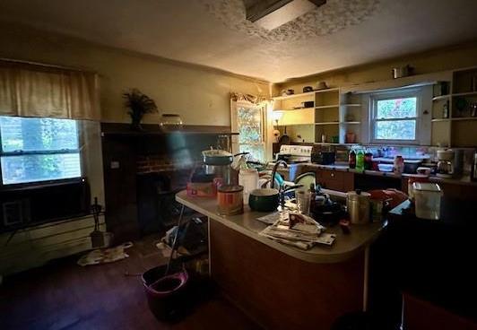 Photo #38