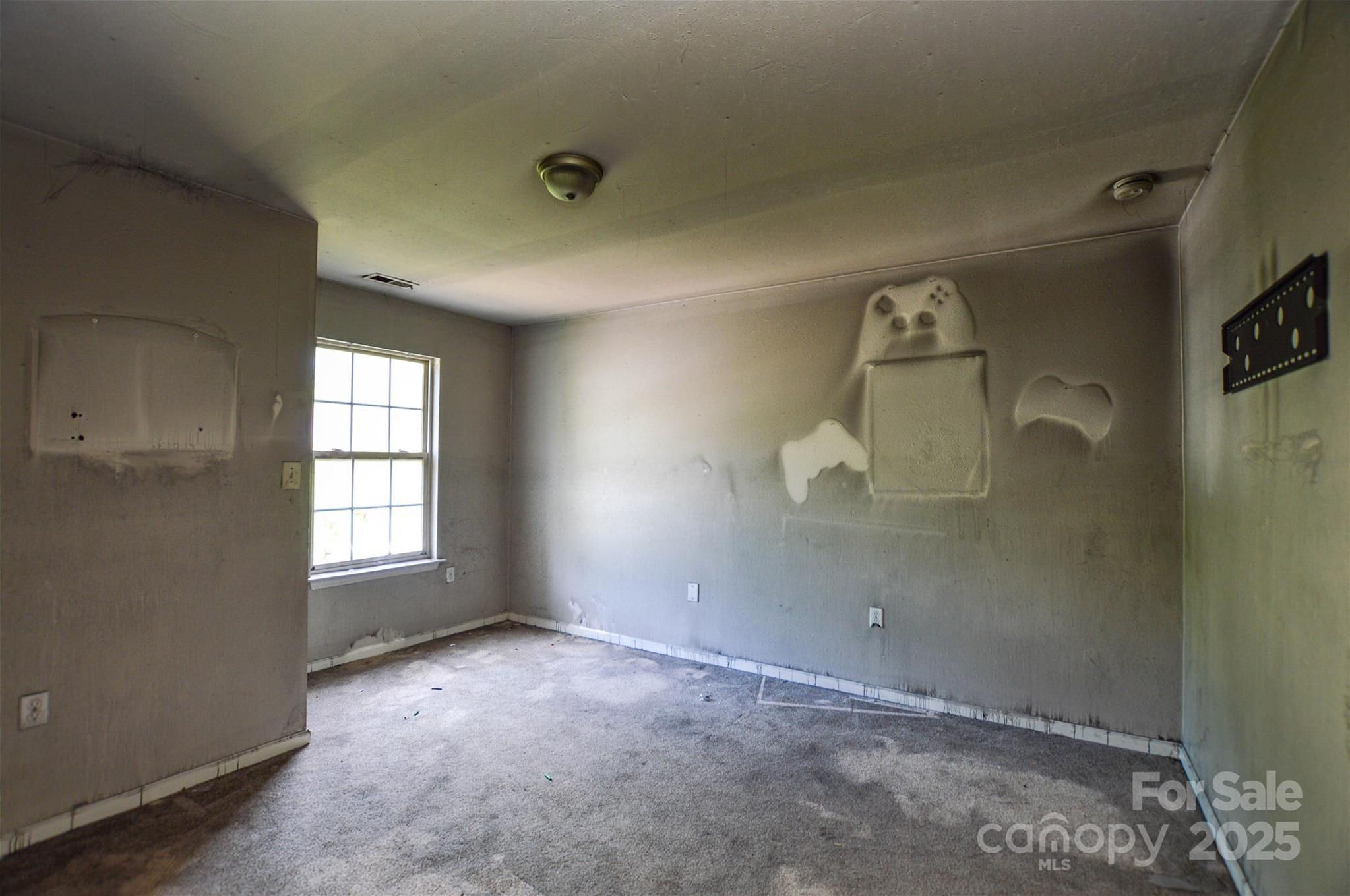 Photo #24
