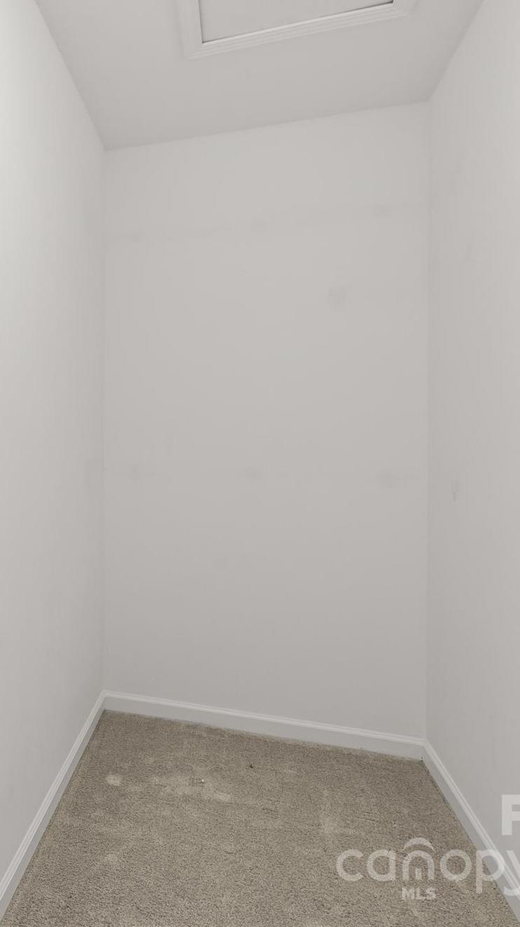 Photo #16