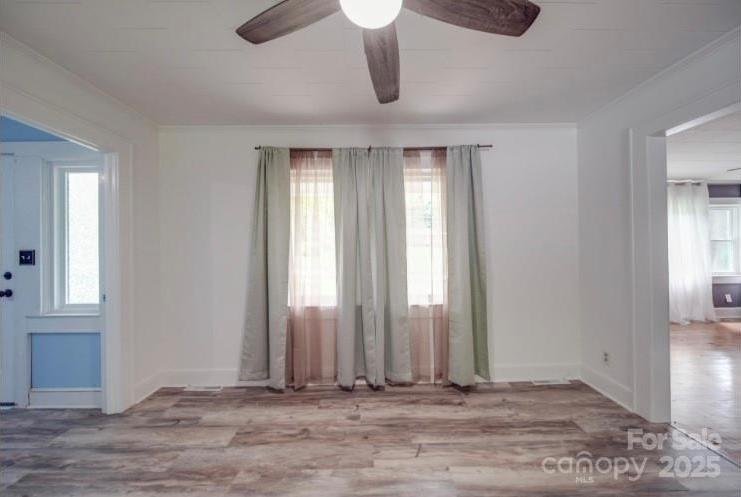 Photo #13