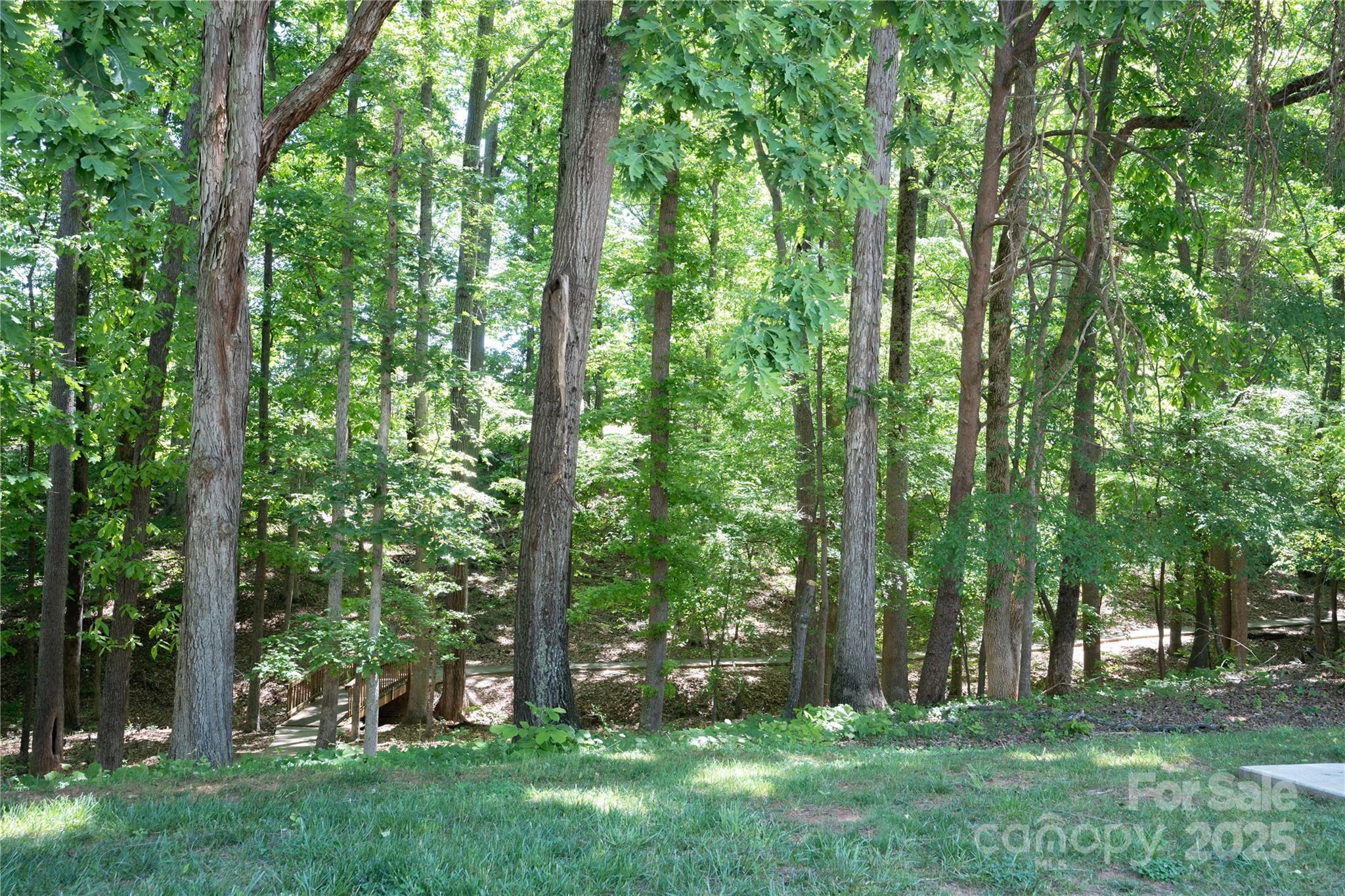 Photo #25