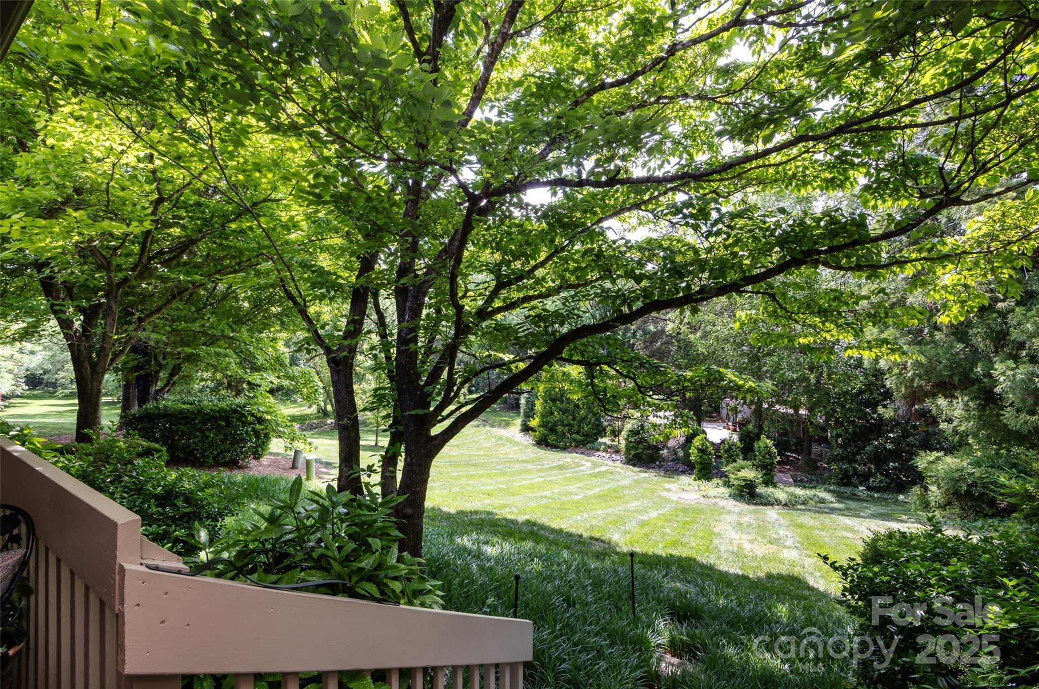 Photo #39