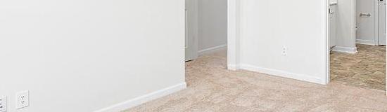 Photo #11