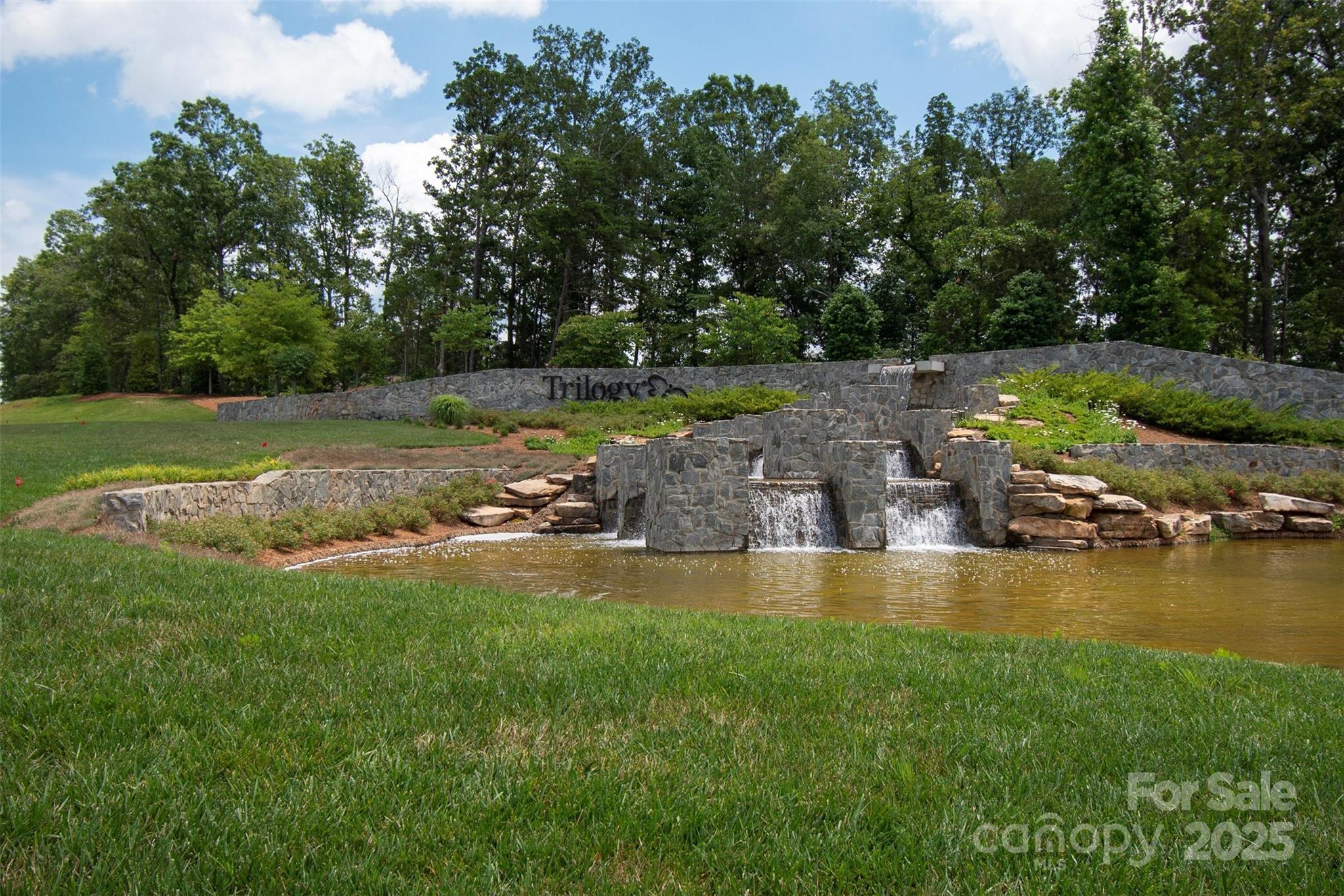 Photo #41