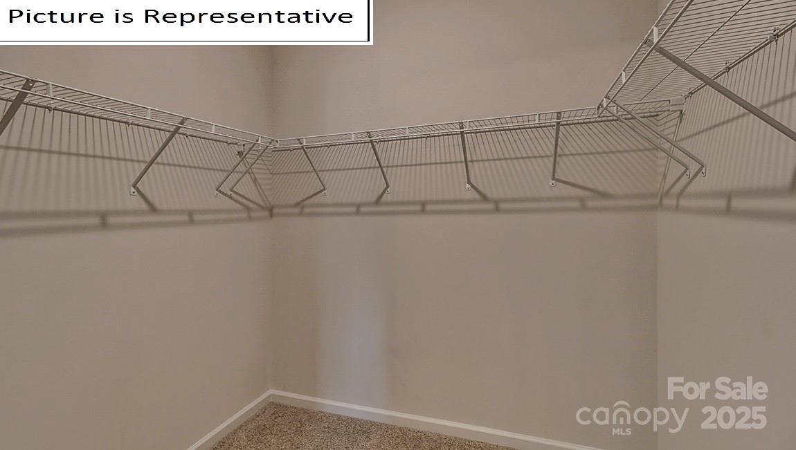 Photo #23