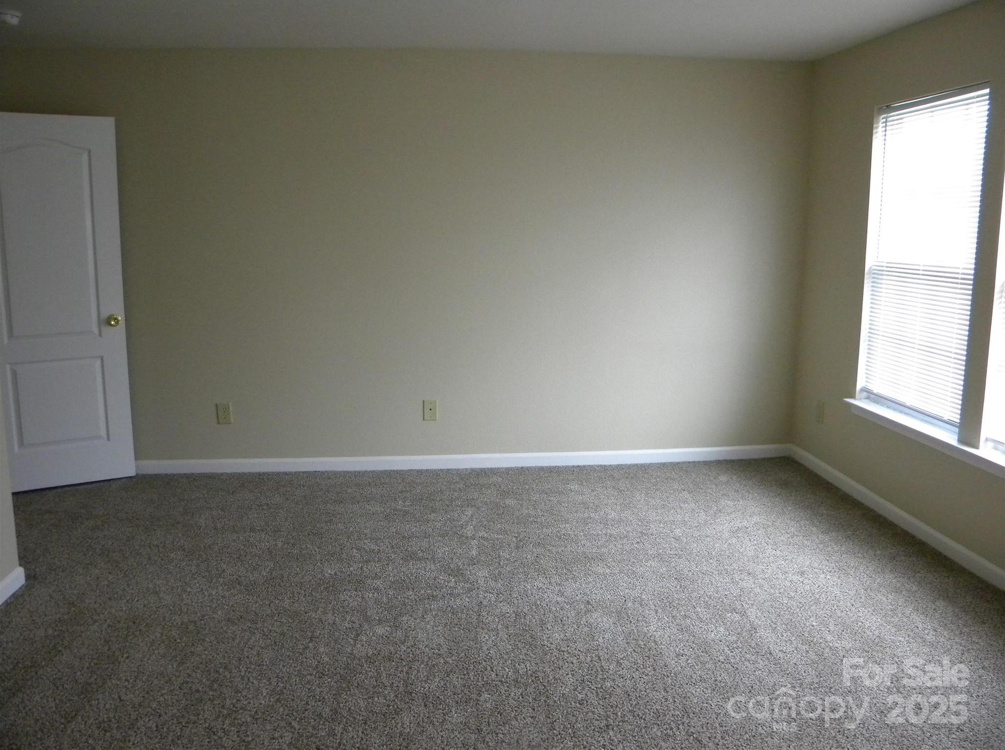 Photo #16