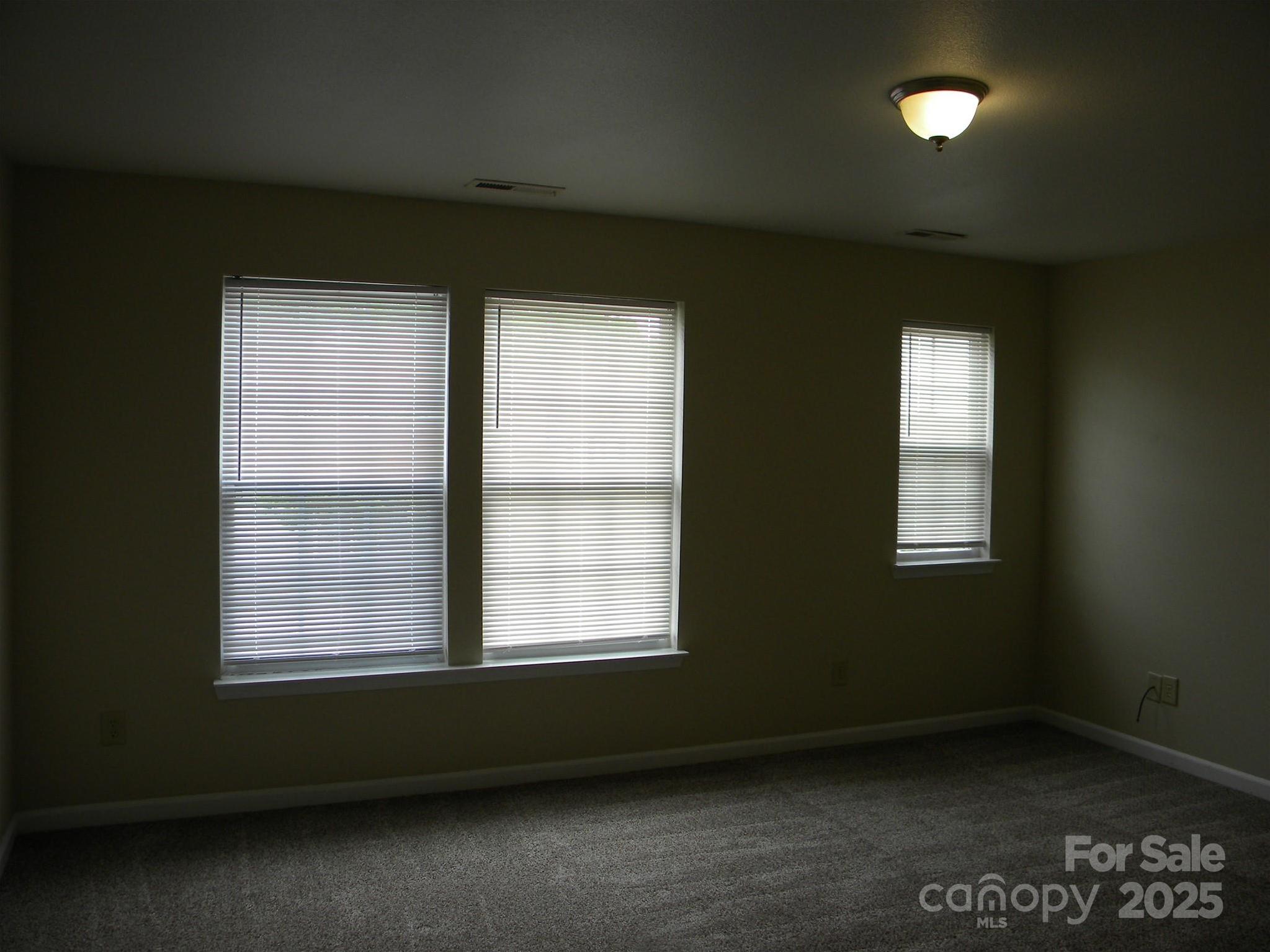 Photo #15