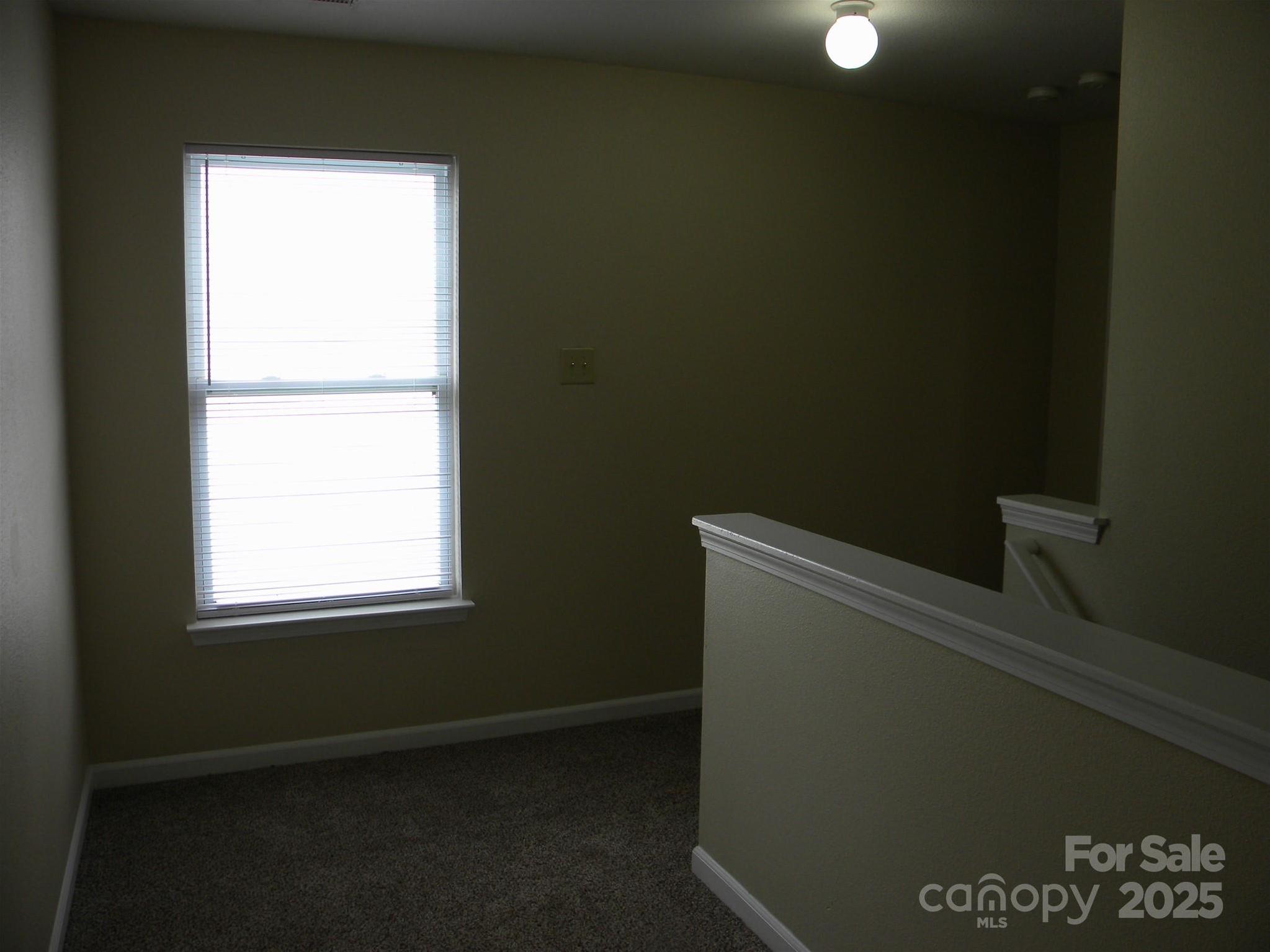 Photo #13
