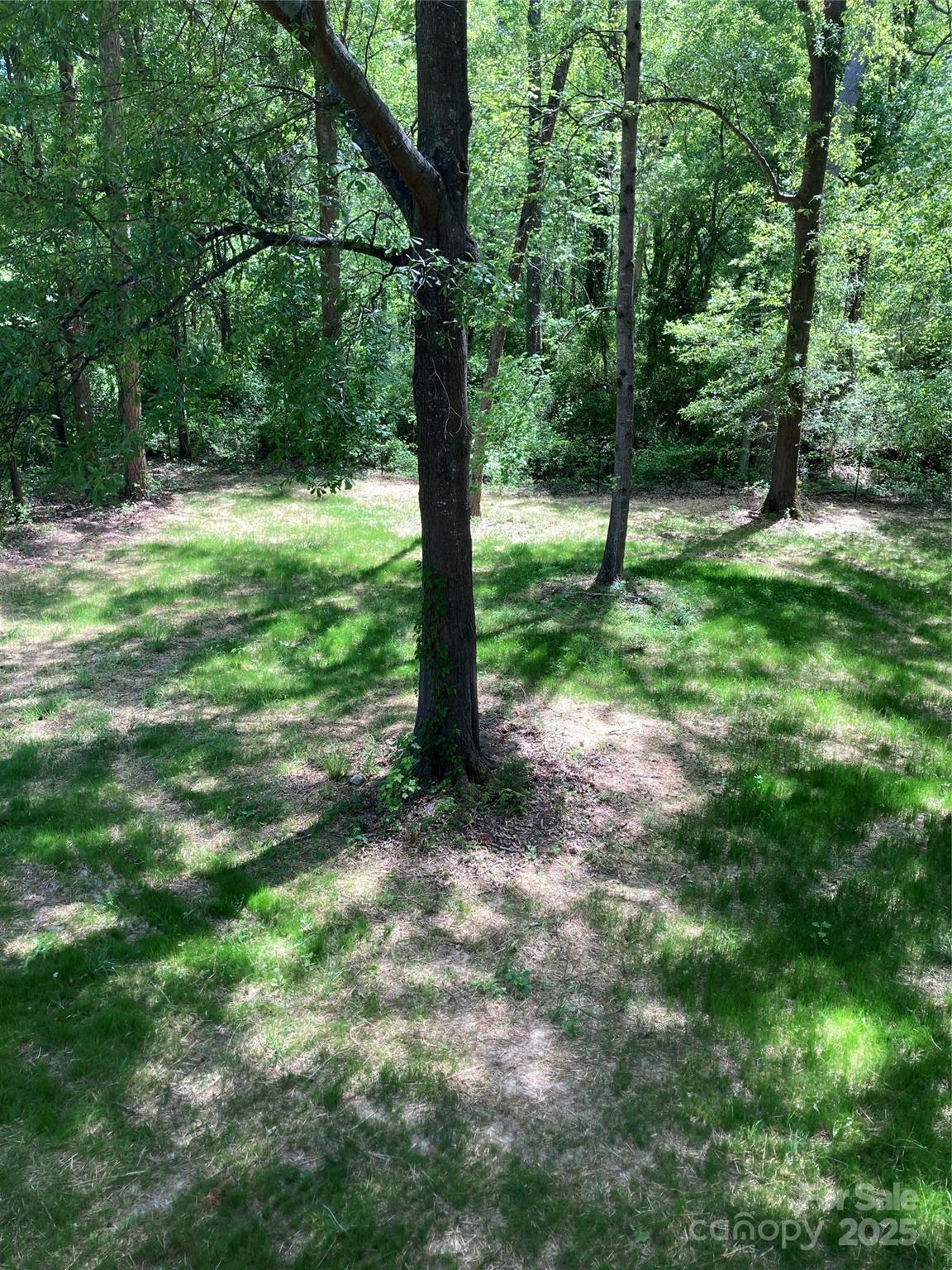 Photo #21