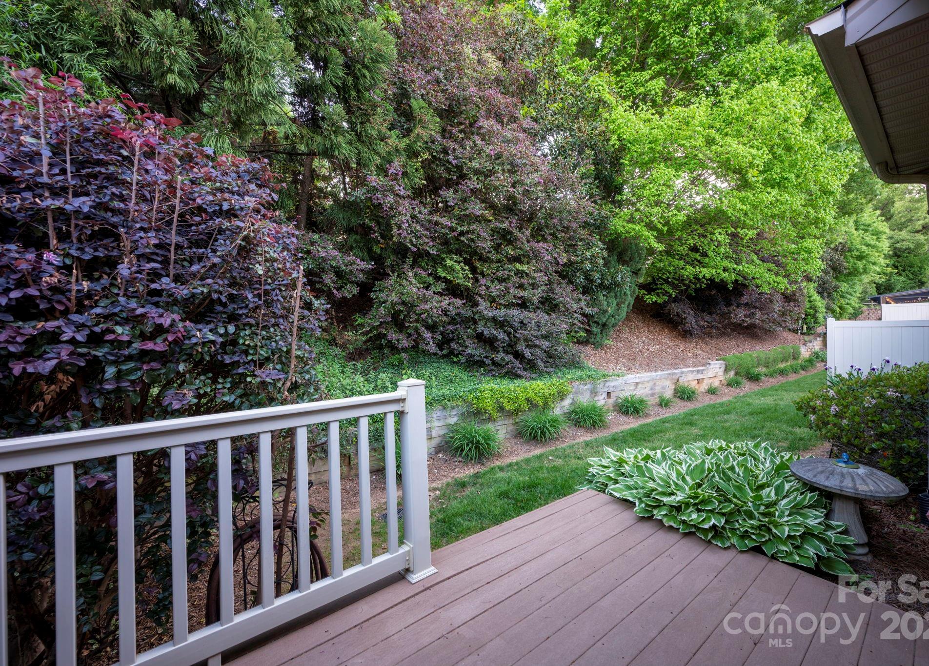 Photo #23